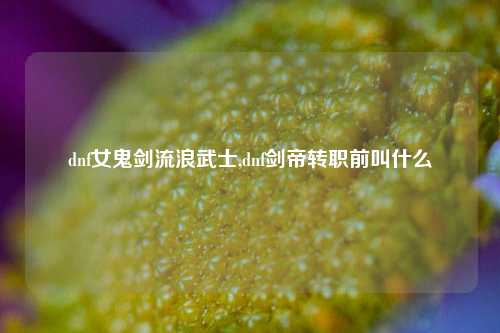 dnf女鬼剑流浪武士,dnf剑帝转职前叫什么