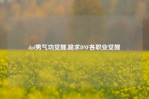 dnf男气功觉醒,跪求DNF各职业觉醒