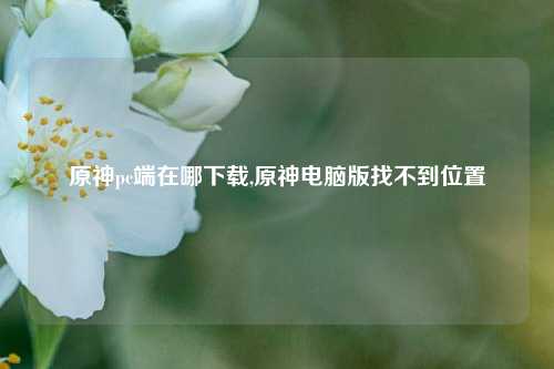 原神pc端在哪下载,原神电脑版找不到位置