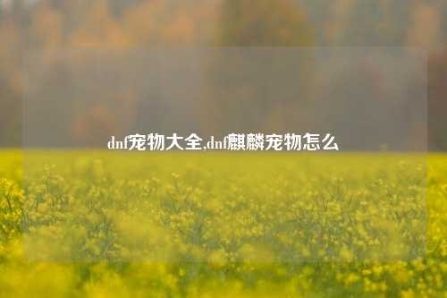 dnf宠物大全,dnf麒麟宠物怎么
