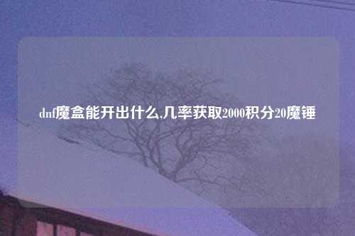 dnf魔盒能开出什么,几率获取2000积分20魔锤