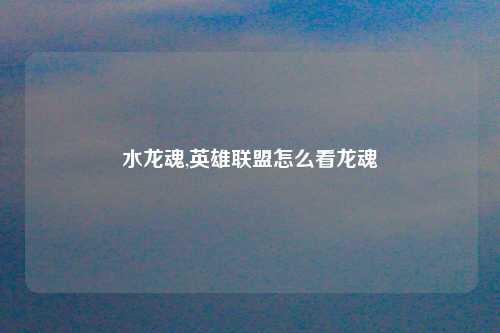 水龙魂,英雄联盟怎么看龙魂