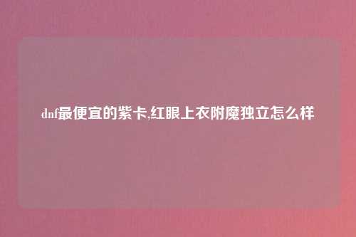 dnf最便宜的紫卡,红眼上衣附魔独立怎么样