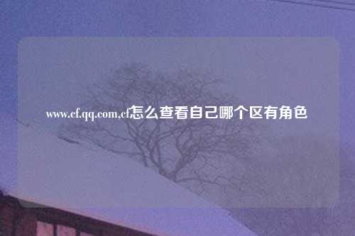 www.cf.qq.com,cf怎么查看自己哪个区有角色