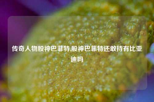 传奇人物股神巴菲特,股神巴菲特还敢持有比亚迪吗