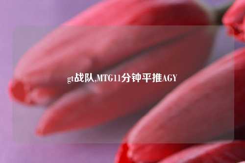 gt战队,MTG11分钟平推AGY