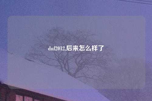 dnf2012,后来怎么样了