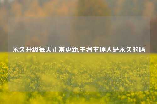 永久升级每天正常更新,王者主理人是永久的吗