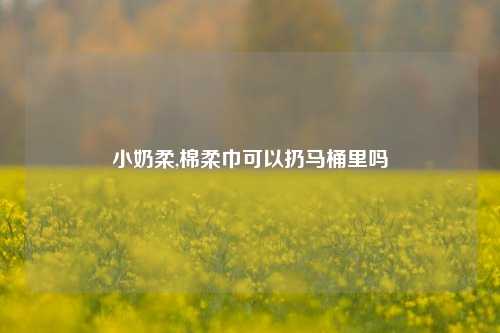 小奶柔,棉柔巾可以扔马桶里吗
