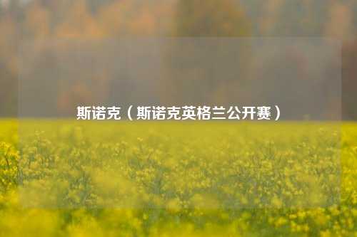 斯诺克（斯诺克英格兰公开赛）