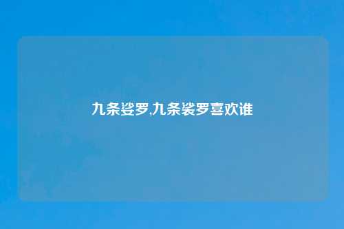 九条娑罗,九条裟罗喜欢谁