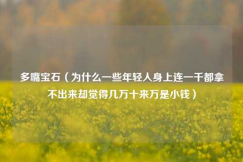 多嘴宝石（为什么一些年轻人身上连一千都拿不出来却觉得几万十来万是小钱）