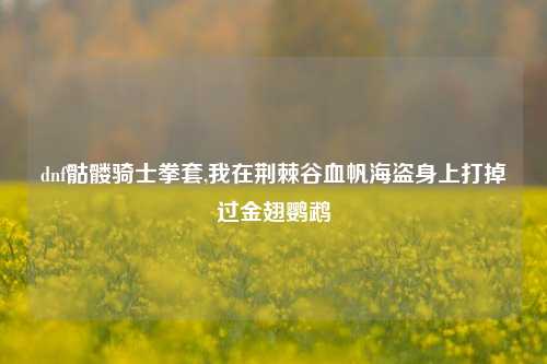 dnf骷髅骑士拳套,我在荆棘谷血帆海盗身上打掉过金翅鹦鹉