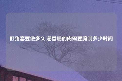 野猪套要做多久,灌香肠的肉需要腌制多少时间