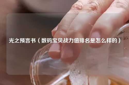 光之预言书（数码宝贝战力值排名是怎么样的）