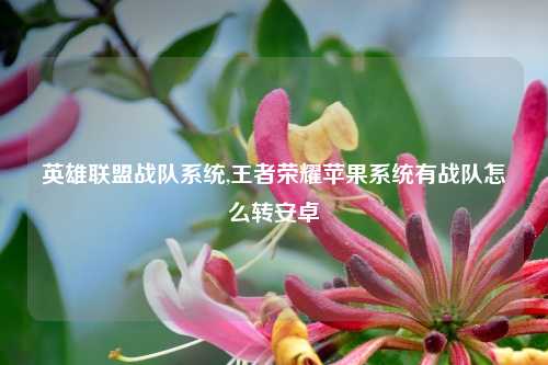 英雄联盟战队系统,王者荣耀苹果系统有战队怎么转安卓