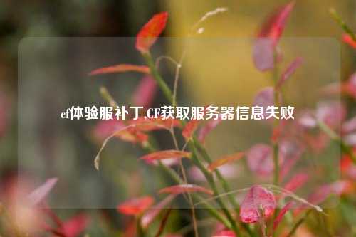 cf体验服补丁,CF获取服务器信息失败