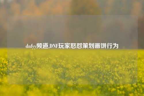 dnfyy频道,DNF玩家怒怼策划画饼行为