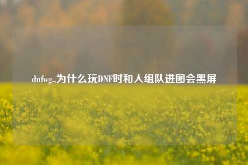 dnfwg.,为什么玩DNF时和人组队进图会黑屏