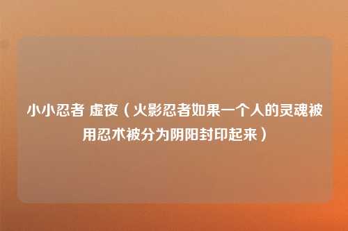 小小忍者 虚夜（火影忍者如果一个人的灵魂被用忍术被分为阴阳封印起来）