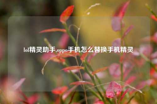 lol精灵助手,oppo手机怎么替换手机精灵