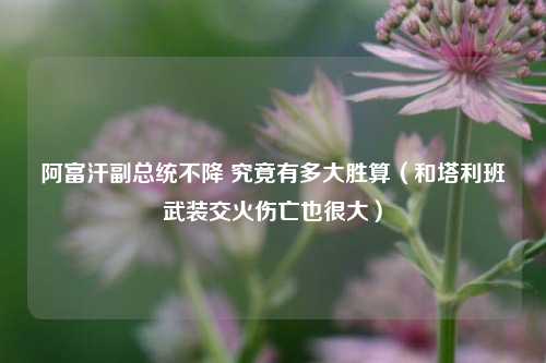 阿富汗副总统不降 究竟有多大胜算（和塔利班武装交火伤亡也很大）
