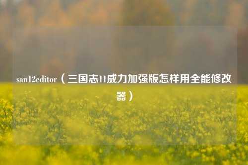 san12editor（三国志11威力加强版怎样用全能修改器）