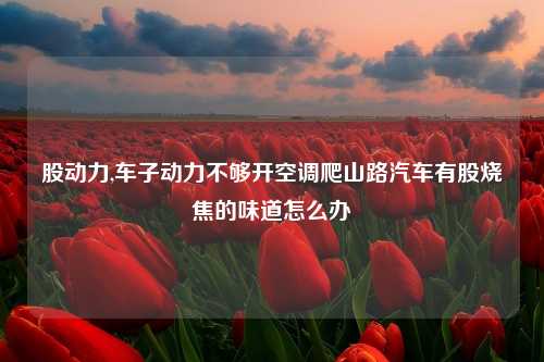 股动力,车子动力不够开空调爬山路汽车有股烧焦的味道怎么办