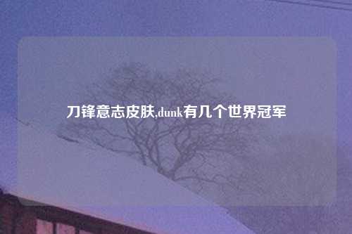 刀锋意志皮肤,dunk有几个世界冠军