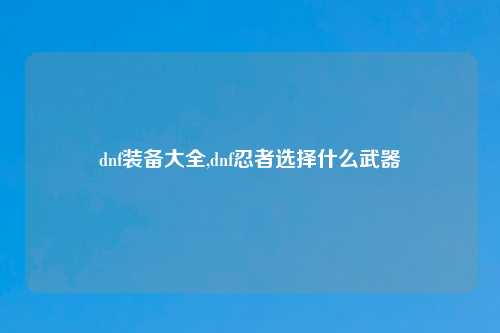 dnf装备大全,dnf忍者选择什么武器