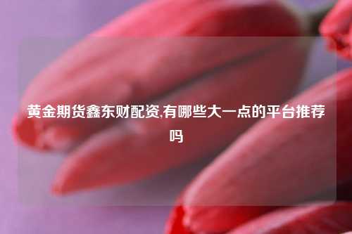 黄金期货鑫东财配资,有哪些大一点的平台推荐吗