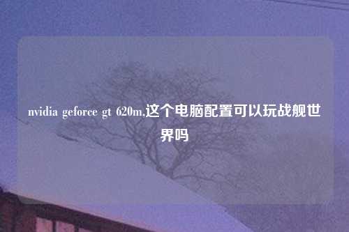 nvidia geforce gt 620m,这个电脑配置可以玩战舰世界吗