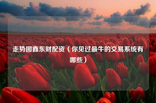 走势图鑫东财配资（你见过最牛的交易系统有哪些）