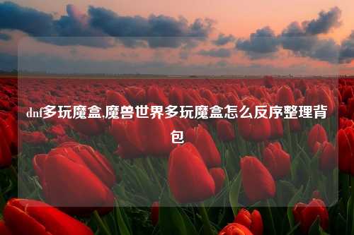 dnf多玩魔盒,魔兽世界多玩魔盒怎么反序整理背包