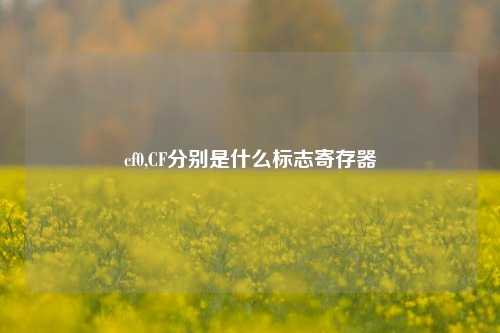 cf0,CF分别是什么标志寄存器