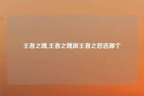 王者之魄,王者之魄跟王者之怒选哪个