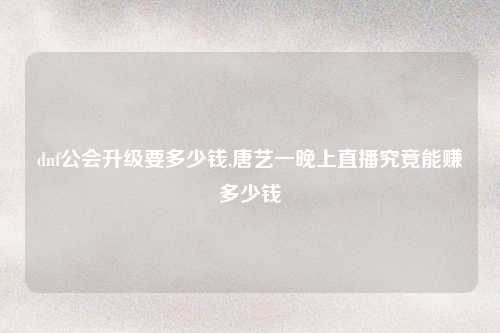 dnf公会升级要多少钱,唐艺一晚上直播究竟能赚多少钱