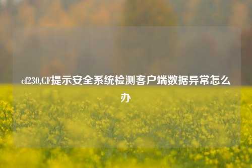 cf230,CF提示安全系统检测客户端数据异常怎么办