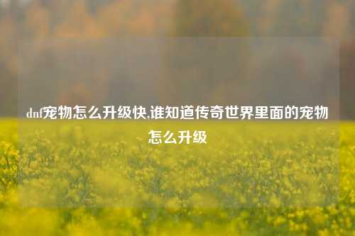 dnf宠物怎么升级快,谁知道传奇世界里面的宠物怎么升级