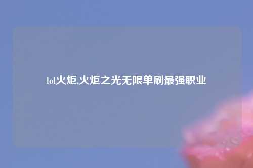 lol火炬,火炬之光无限单刷最强职业