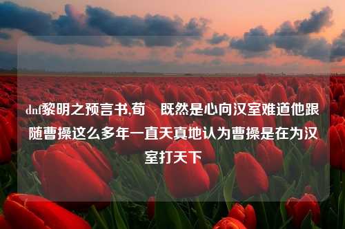 dnf黎明之预言书,荀彧既然是心向汉室难道他跟随曹操这么多年一直天真地认为曹操是在为汉室打天下