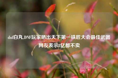 dnf白丸,DNF玩家晒出天下第一铁匠大会最佳武器网友表示8亿都不卖