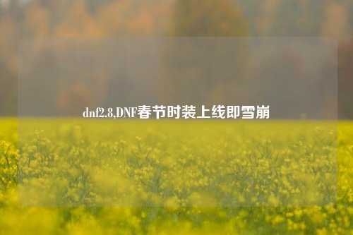 dnf2.8,DNF春节时装上线即雪崩