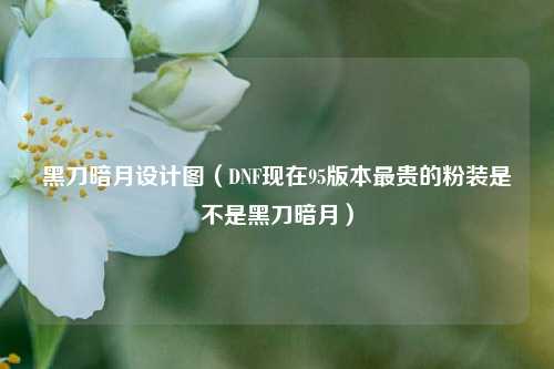 黑刀暗月设计图（DNF现在95版本最贵的粉装是不是黑刀暗月）