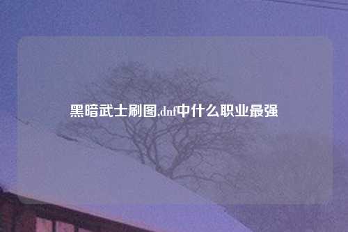 黑暗武士刷图,dnf中什么职业最强
