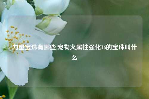 力量宝珠有哪些,宠物火属性强化16的宝珠叫什么