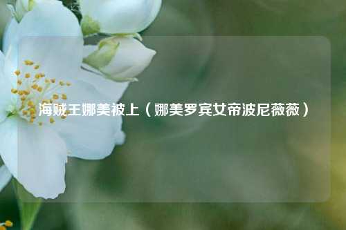 海贼王娜美被上（娜美罗宾女帝波尼薇薇）