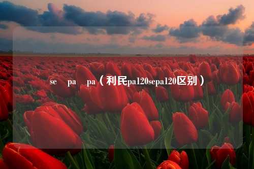 se pa pa（利民pa120sepa120区别）