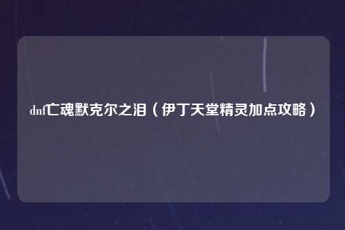 dnf亡魂默克尔之泪（伊丁天堂精灵加点攻略）