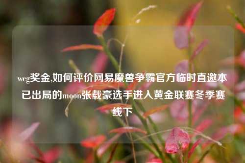 wcg奖金,如何评价网易魔兽争霸官方临时直邀本已出局的moon张载豪选手进入黄金联赛冬季赛线下